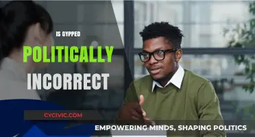 Is 'Gypped' Politically Incorrect? Exploring Language Sensitivity and Respect