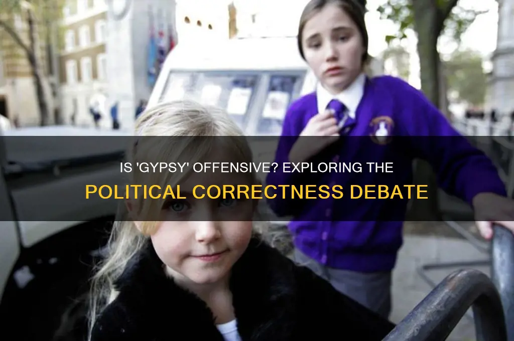 is gypsy politically incorrect