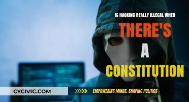 Hacking: Unconstitutional or Criminal?