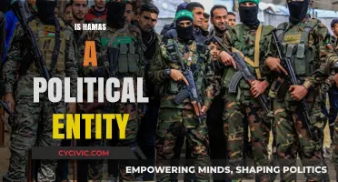 Hamas: Political Entity or Militant Group? Exploring Its Complex Role
