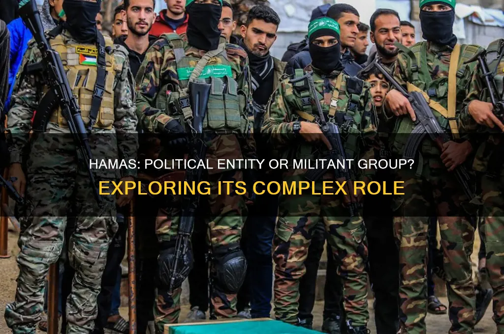 is hamas a political entity