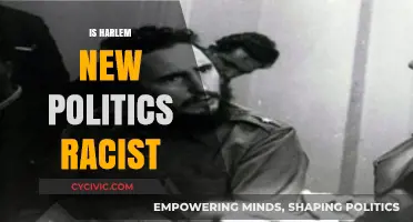 Is Harlem's New Political Landscape Racially Biased? A Critical Analysis