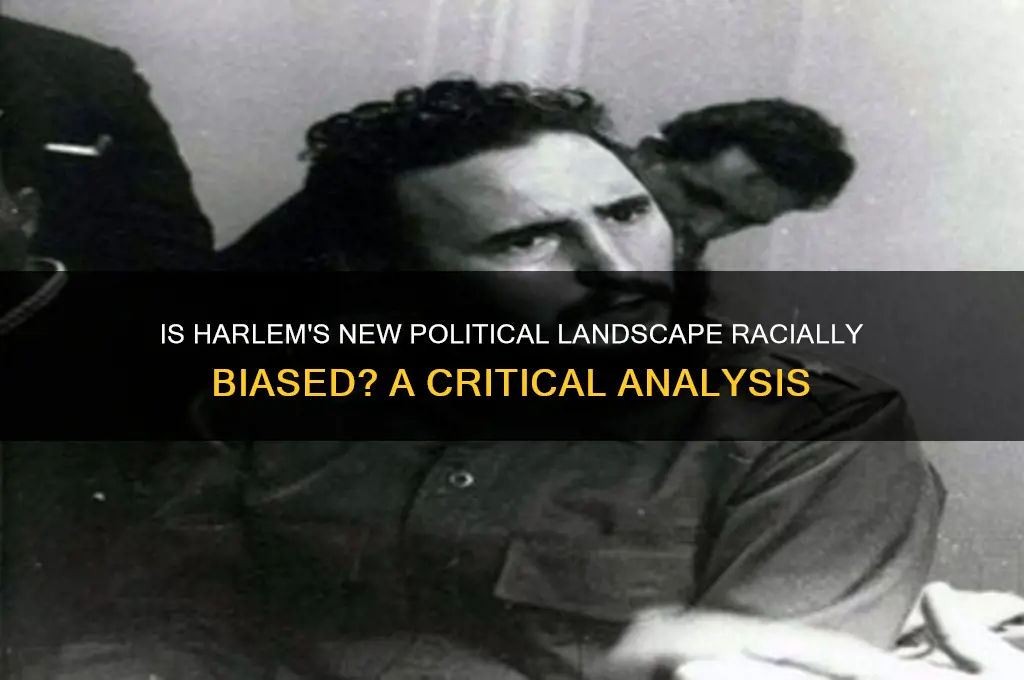 is harlem new politics racist