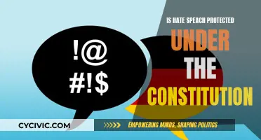 Hate Speech: Free Expression or Constitutional Conundrum?
