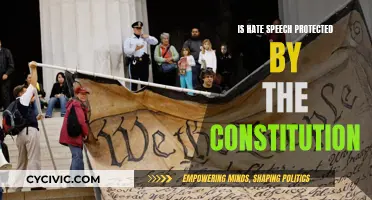 Hate Speech: Free Expression or Constitutional Threat?