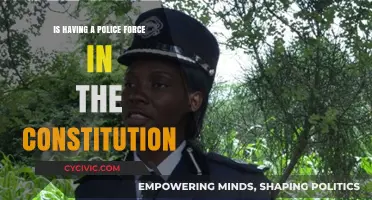 The Police Force: A Constitutional Right?