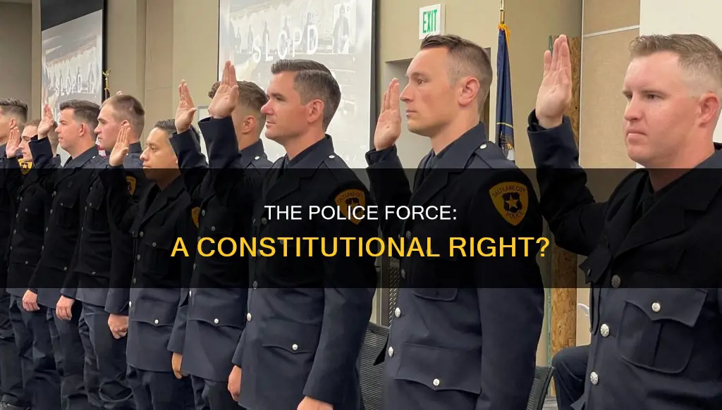 is having a police force in the constitution