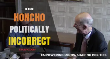 Is 'Head Honcho' Offensive? Exploring Its Political Correctness in Modern Language
