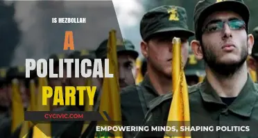 Is Hezbollah a Political Party or a Militant Group?