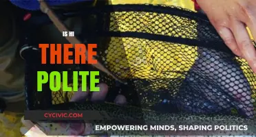 Is 'Hi There' Polite? Decoding Greeting Etiquette in Modern Communication