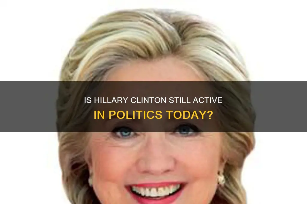 is hillary still in politics