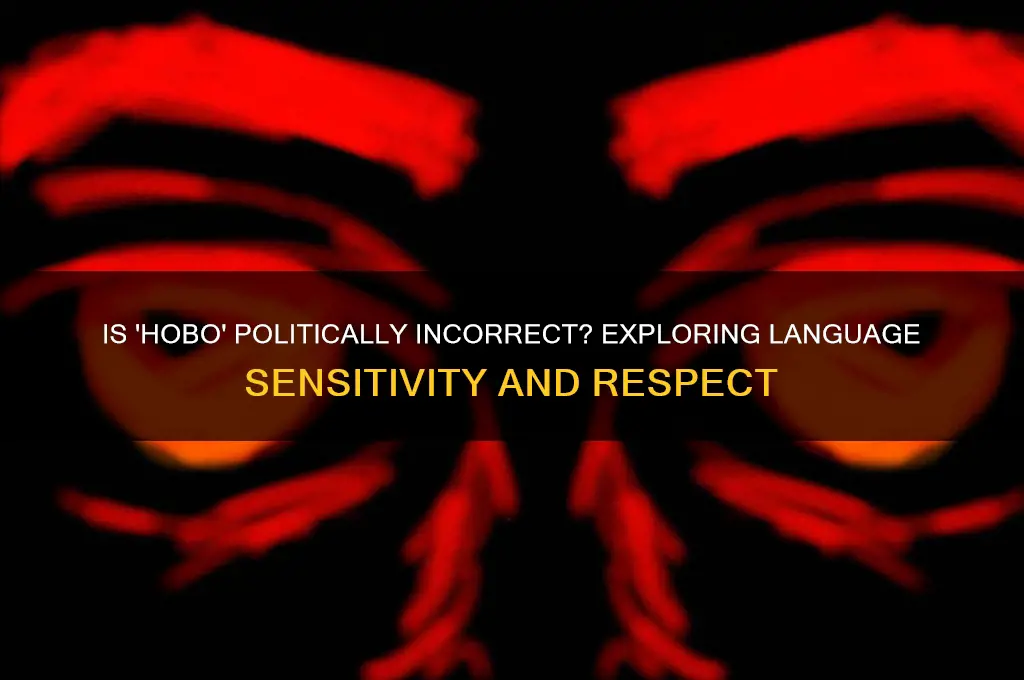 is hobo polital incorrect