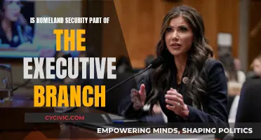 Homeland Security: Executive Branch's Role and Responsibilities