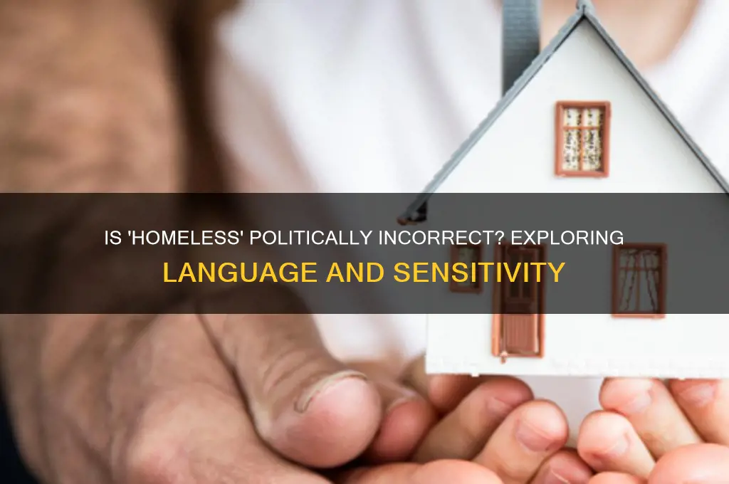 is homeless politically incorrect