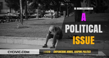 Homelessness and Politics: A Complex Intersection of Policy and Responsibility