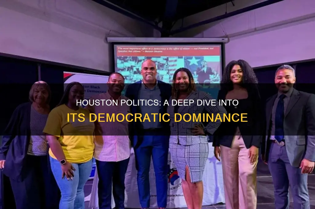 is houston politics democratic