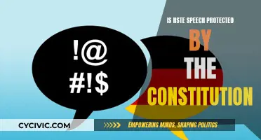 Hate Speech: Is It Protected by the Constitution?