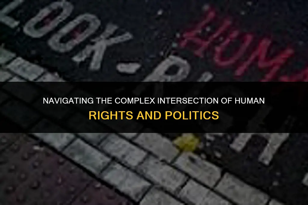 is human rights politics