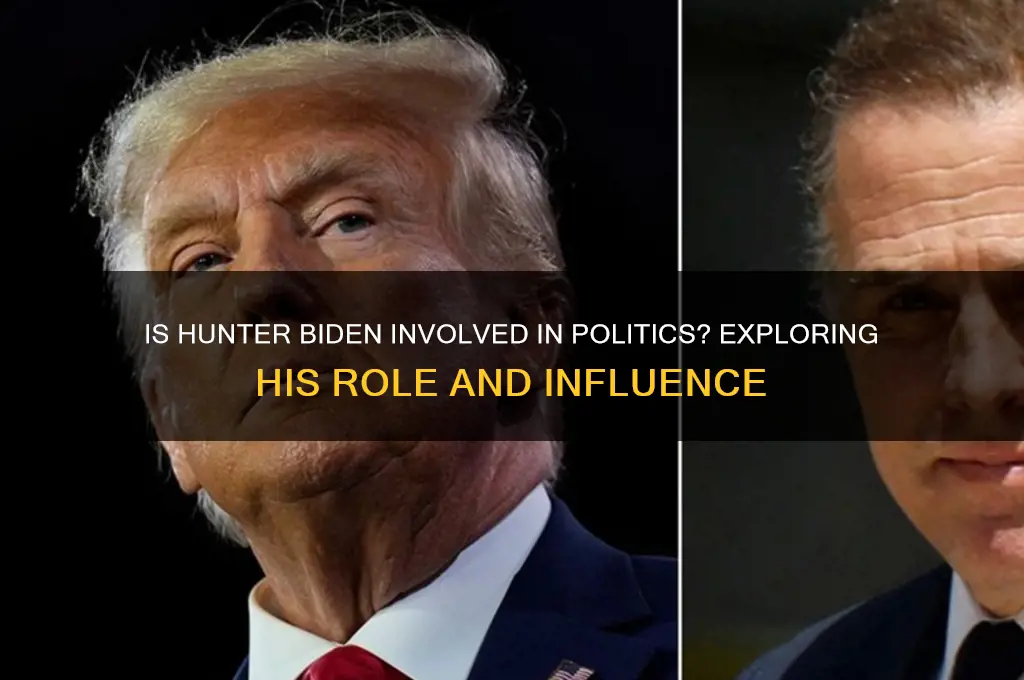 is hunter biden in politics