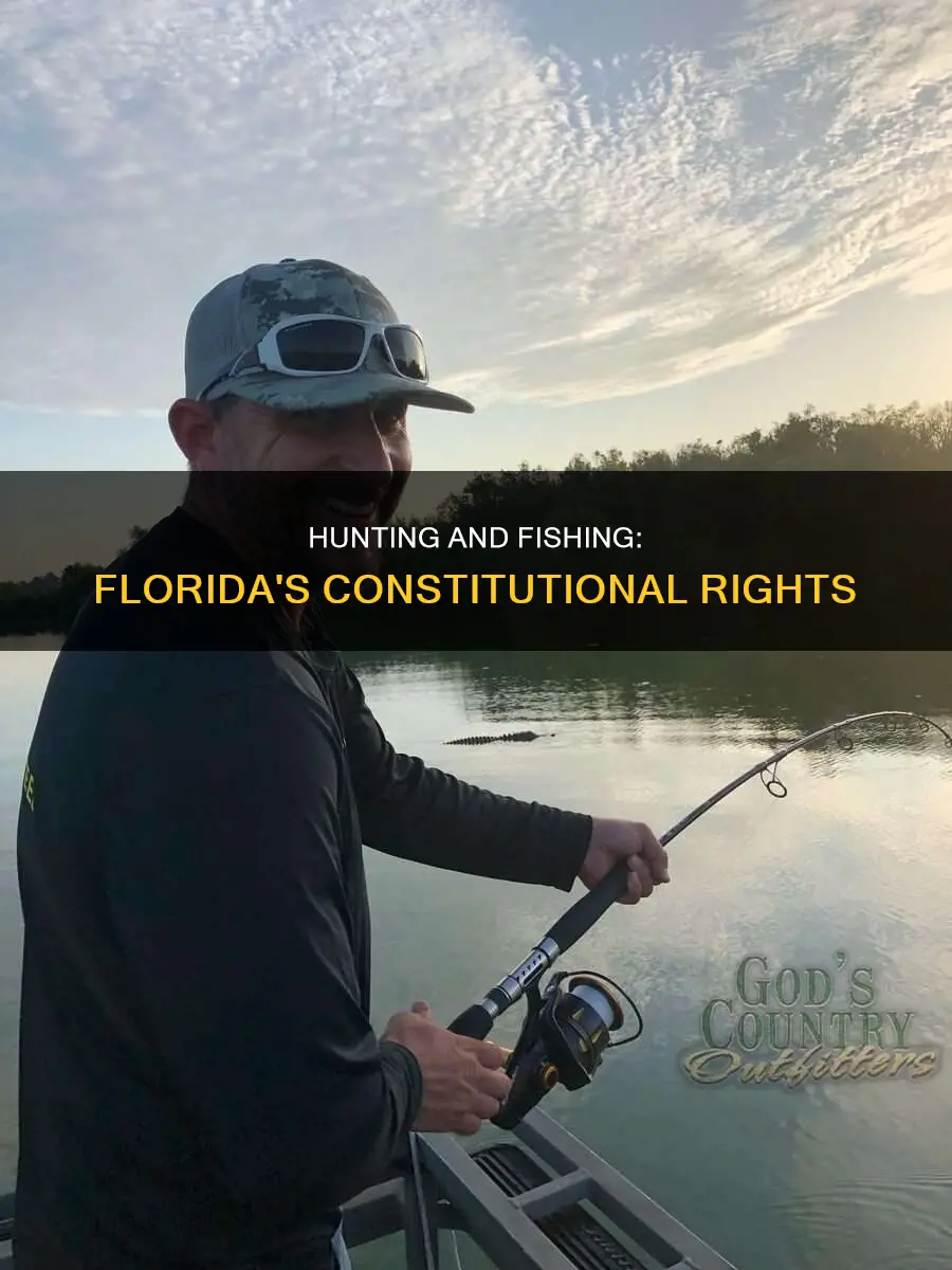 is hunting and fishing in the florida constitution