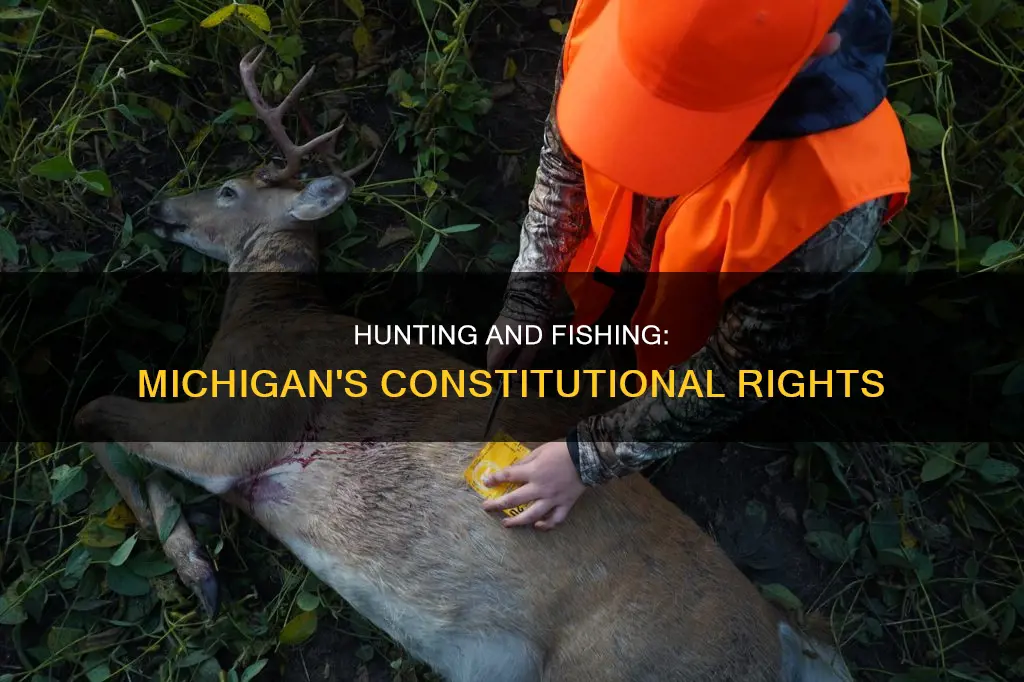 is hunting and fishing protected in michigan