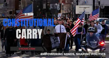 Idaho's Constitutional Carry: What Does It Mean?