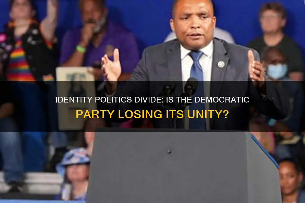is identity politics killing the democratic party