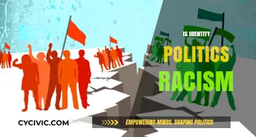 Is Identity Politics Racist? Exploring the Intersection of Race and Ideology