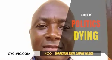 Is Identity Politics Fading? Exploring Shifts in Social and Cultural Narratives