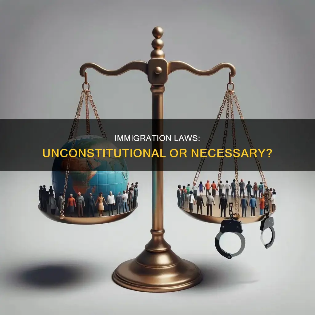 is illegal immigration a violation of the constitution