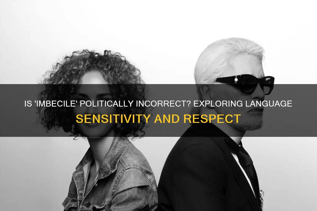 is imbecile politically incorrect