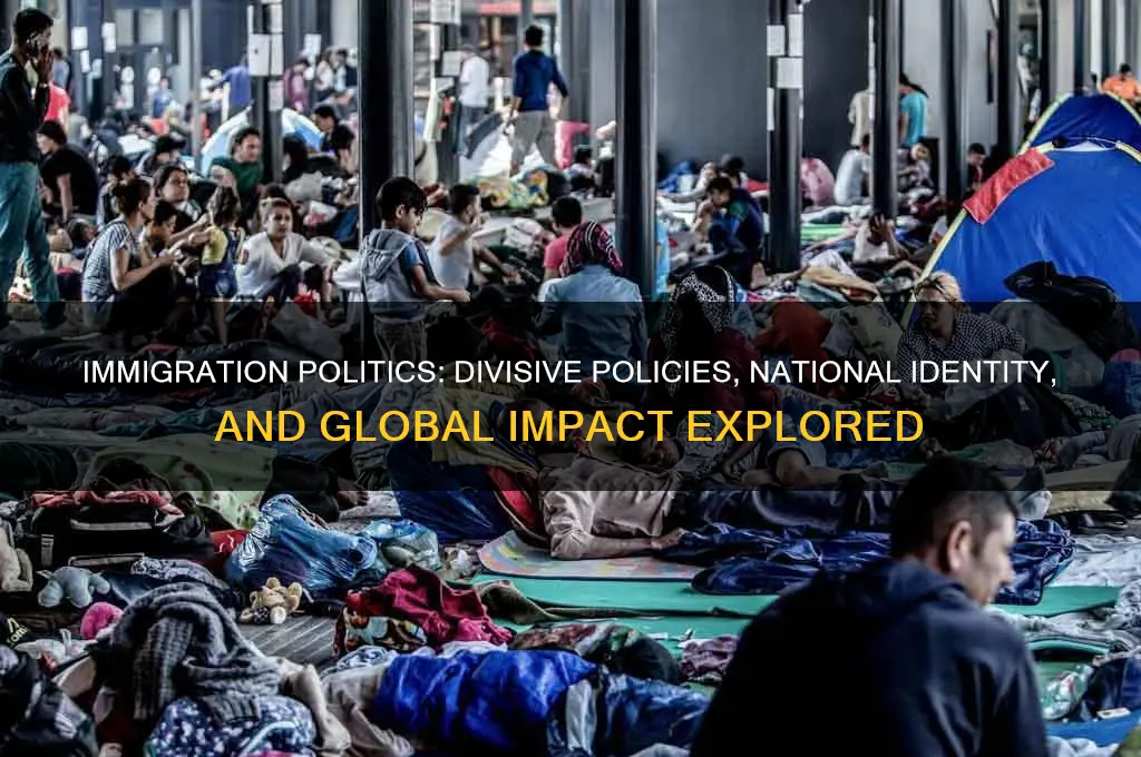 is immigration a political issue