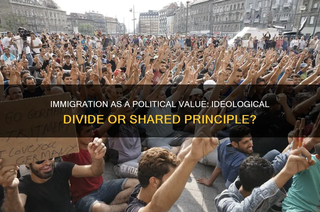 is immigration a political value