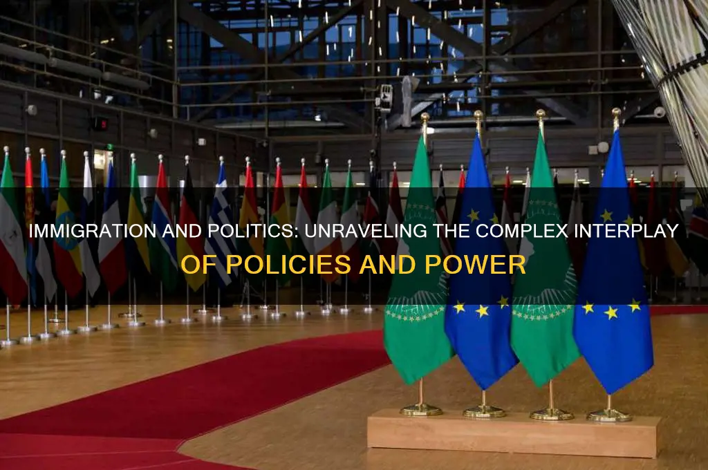 is immigration related to politics