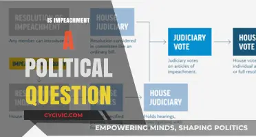Is Impeachment a Political Question? Exploring Constitutional Boundaries and Power Dynamics