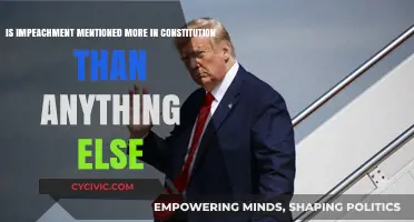 Impeachment: The Constitution's Focus?