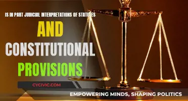 Judicial Interpretations: Statutes and Constitution Explained