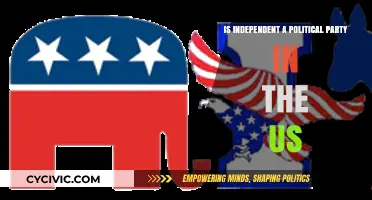 Is Independent a Political Party in the US? Exploring the Facts