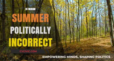 Indian Summer": A Politically Incorrect Term or Cultural Misunderstanding