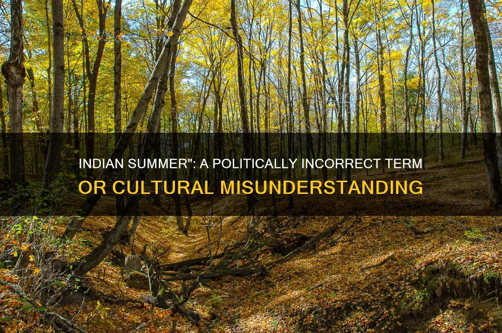 is indian summer politically incorrect