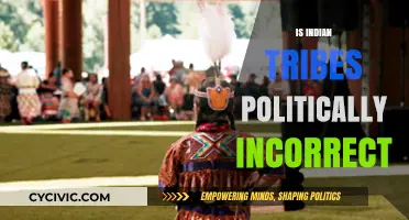 Is 'Indian Tribes' Politically Incorrect? Exploring Terminology and Respect
