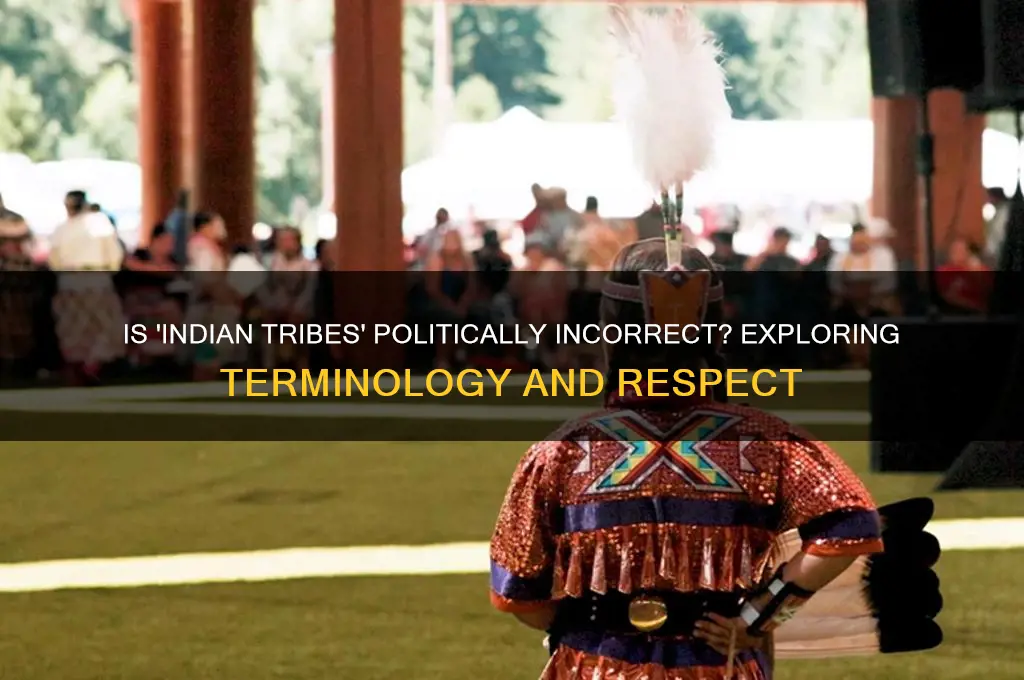 is indian tribes politically incorrect