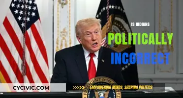 Is 'Indian' Politically Incorrect? Exploring Terminology and Cultural Sensitivity