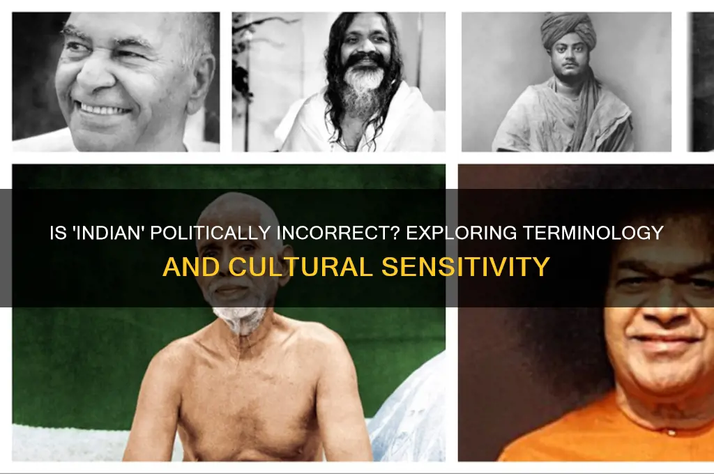 is indians politically incorrect