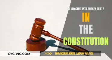 Innocent Until Proven Guilty: A Constitutional Principle?