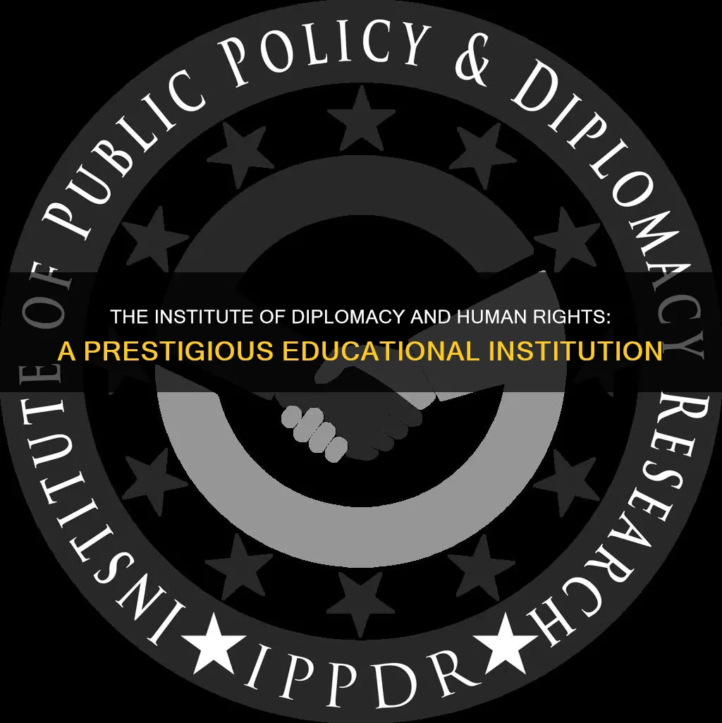 is institute of diplomacy and human rights