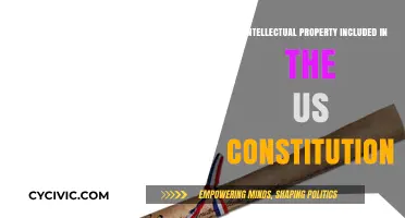Intellectual Property: Is It in the US Constitution?