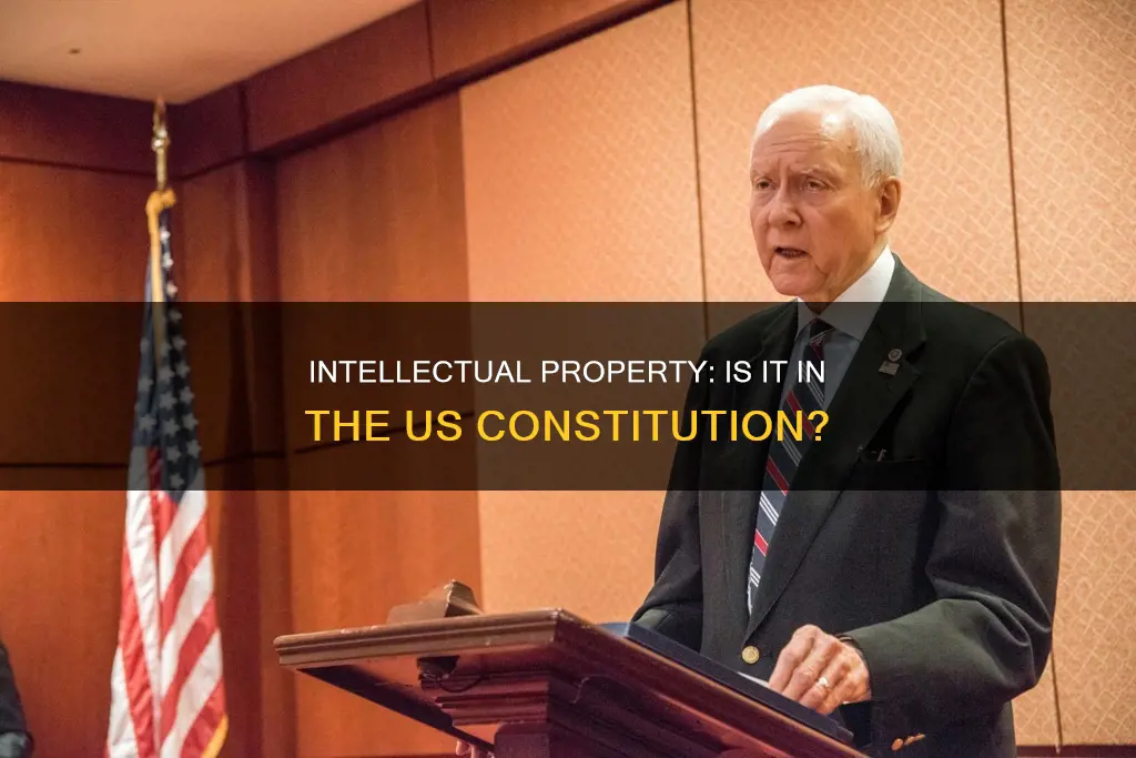 is intellectual property included in the us constitution