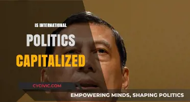 Is 'International Politics' Capitalized? A Grammar Guide for Writers