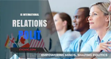 Is International Relations Inherently Political? Exploring Power, Diplomacy, and Global Dynamics